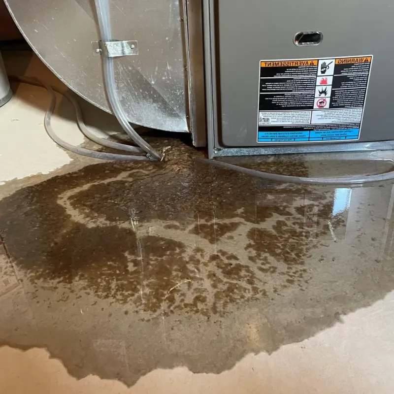 Pipe Burst and Leak Restoration in Turtle Creek, PA