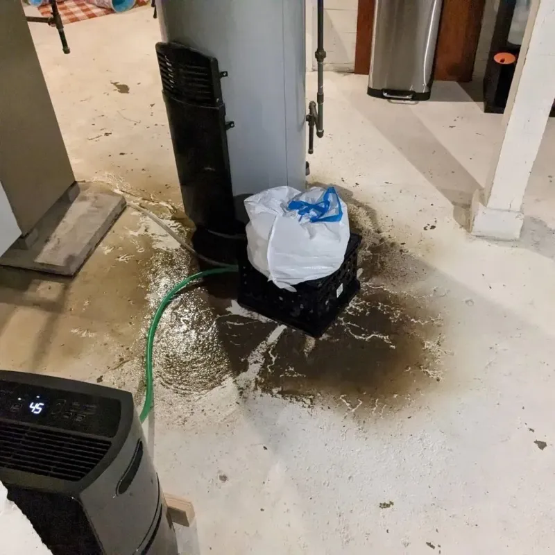 Sewage Backup Cleanup Service in Turtle Creek, PA